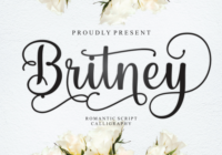 Britney Font - Featured Image