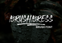Brushbress Font - Featured Image