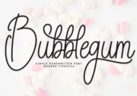 Bubblegum Font - Featured Image