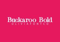 Buckaroo Bold Font - Featured Image