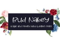 Bud Nakey Font - Featured Image