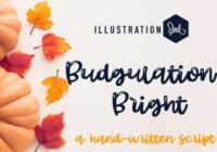 Budgulation Font - Featured Image