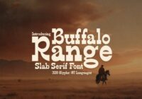 Buffalo Range Font - Featured Image