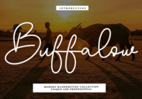 Buffalow Font - Featured Image