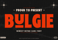 Bulgie Font - Featured Image