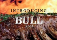 Bull Font - Featured Image