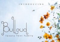Bulleud Font - Featured Image