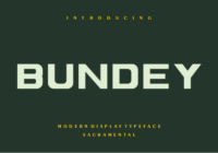 Bundey Font - Featured Image