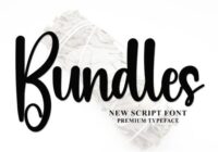 Bundles Font - Featured Image
