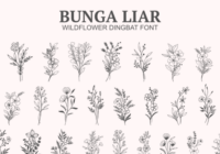 Bunga Liar Font - Featured Image
