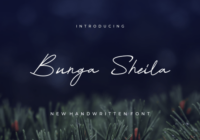Bunga Sheila Font - Featured Image