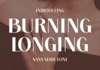 Burning Longing Font - Featured Image