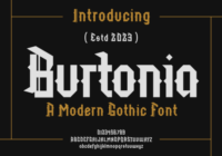 Burtonia Font - Featured Image