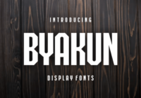 Byakun Font - Featured Image