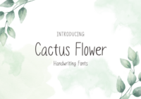 Cactus Flower Font - Featured Image