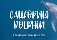 California Dolphin Font - Featured Image