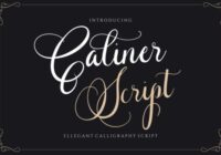 Caliner Script Font - Featured Image