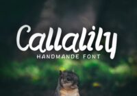 Callalily Font - Featured Image