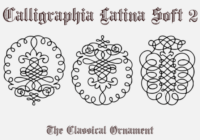 Calligraphia Latina Soft 2 Font - Featured Image