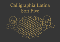 Calligraphia Latina Soft Five Font - Featured Image