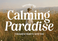Calming Paradise Font - Featured Image