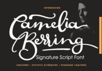Camelia Berring Script Font - Featured Image
