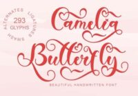 Camelia Butterfly Font - Featured Image