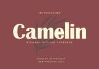 Camelin Font - Featured Image