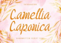 Camellia Caponica Font - Featured Image