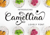 Camellina Script Font - Featured Image
