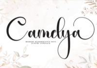 Camelya Font - Featured Image