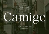 Camige Font - Featured Image