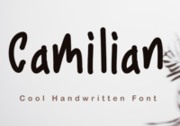 Camilian Font - Featured Image