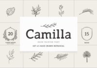 Camilla Font - Featured Image