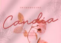 Candia Font - Featured Image