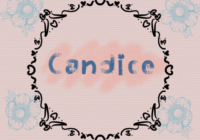 Candice Font - Featured Image