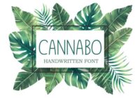 Cannabo Font - Featured Image