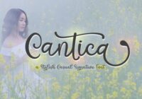 Cantica Script Font - Featured Image