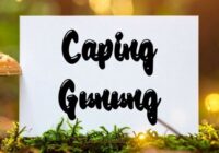 Caping Gunung Font - Featured Image
