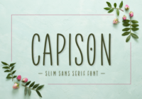 Capison Font - Featured Image
