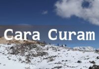 Cara Curam Font - Featured Image