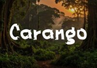 Carango Font - Featured Image