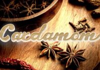 Cardamom Font - Featured Image