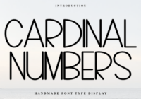 Cardinal Numbers Font - Featured Image