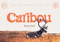 Caribou Font - Featured Image