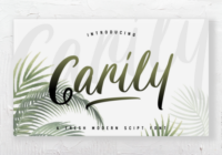 Carily Font - Featured Image