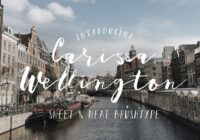 Carissa Wellington Font - Featured Image