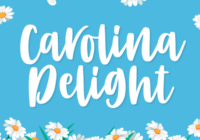 Carolina Delight Font - Featured Image