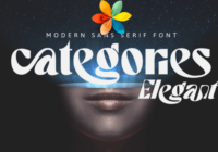Categories Elegant Font - Featured Image