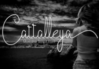 Cattalleya Font - Featured Image